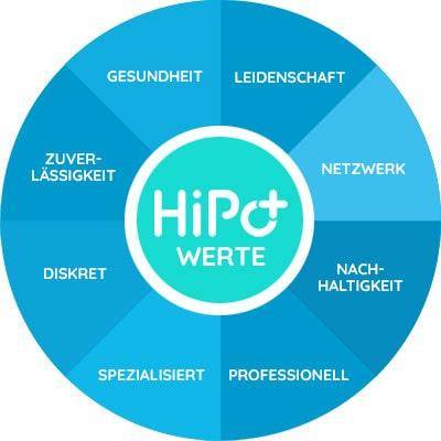 Einzel-Werte der HiPo Ärztevermittlung und Karriereberatung