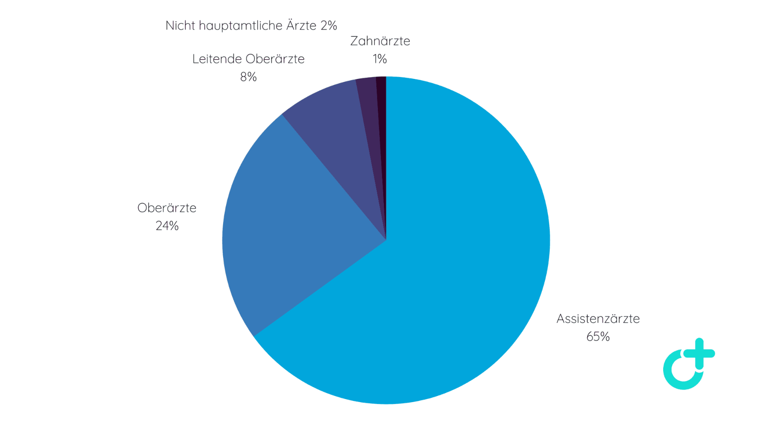 Kuchendiagramm, das die Verteilung der verschiedenen Ärzte in Krankenhäusern zeigt